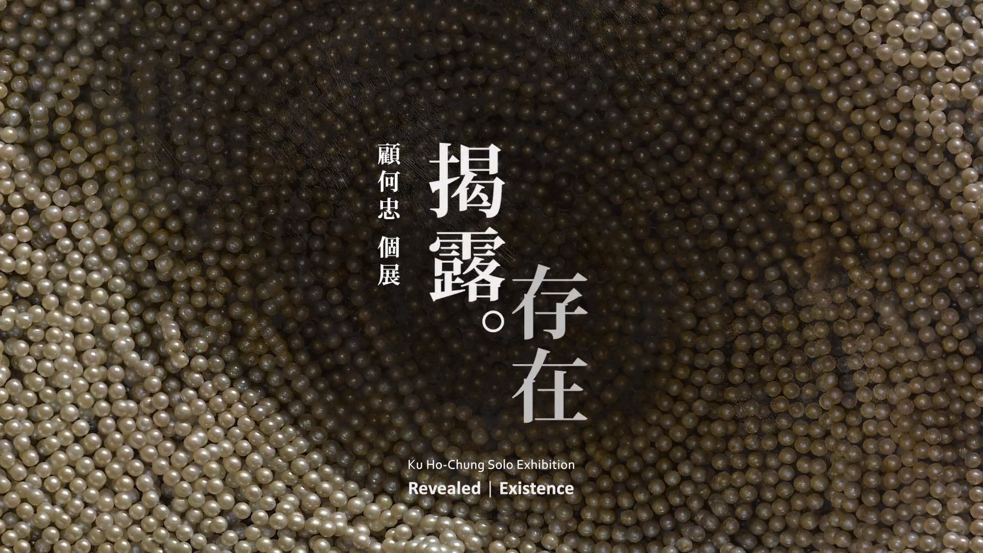 揭露‧存在 顧何忠個展