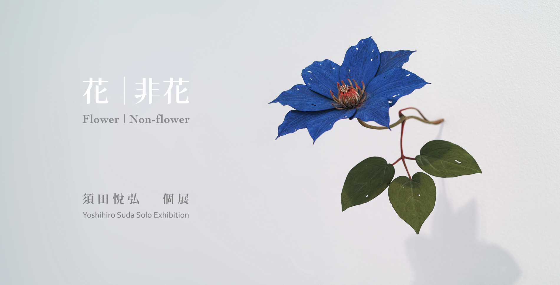Flower | Non-Flower : Suda Yoshihiro