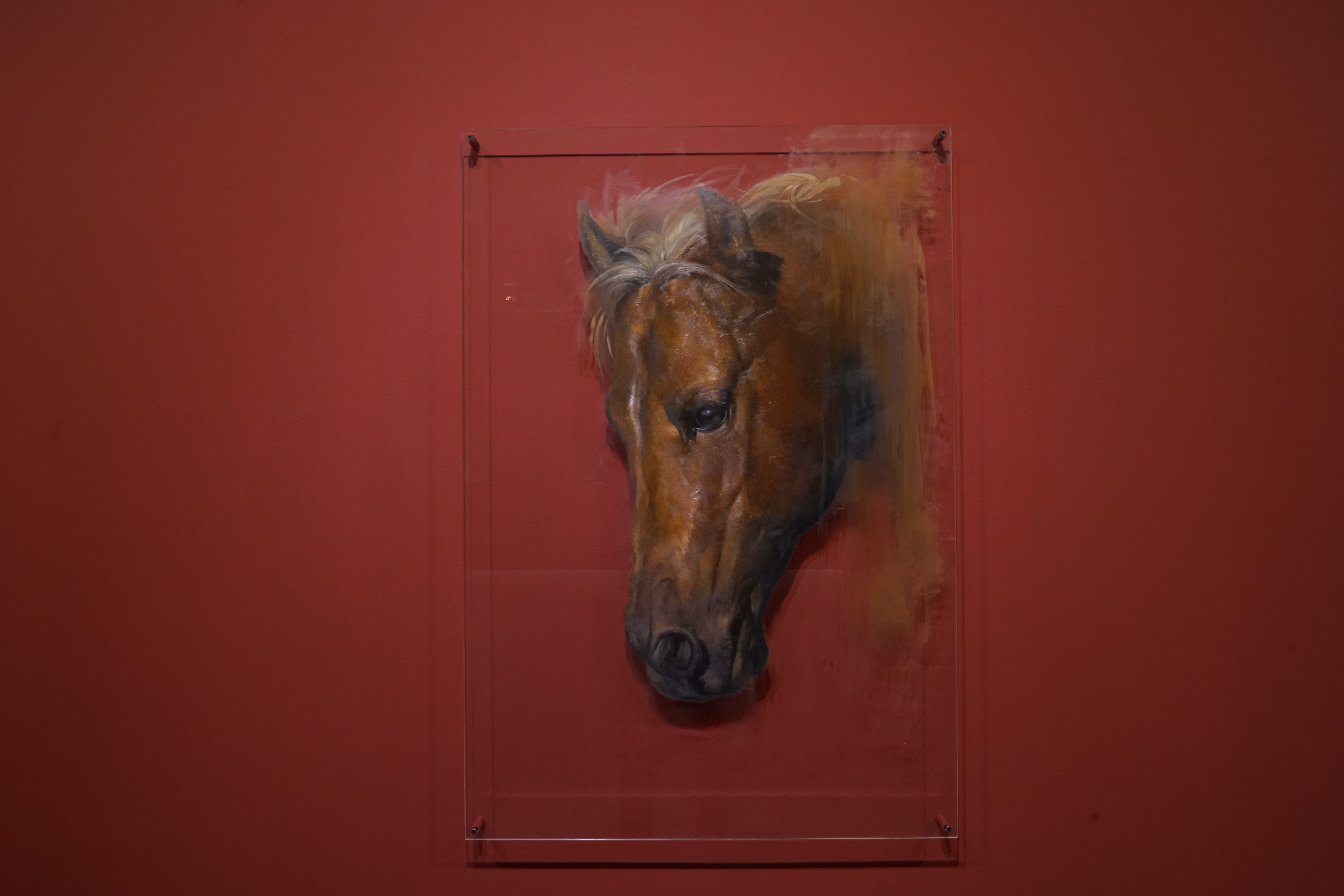 肖像（II） | 油彩、壓克力板 80 x 116 cm 2017