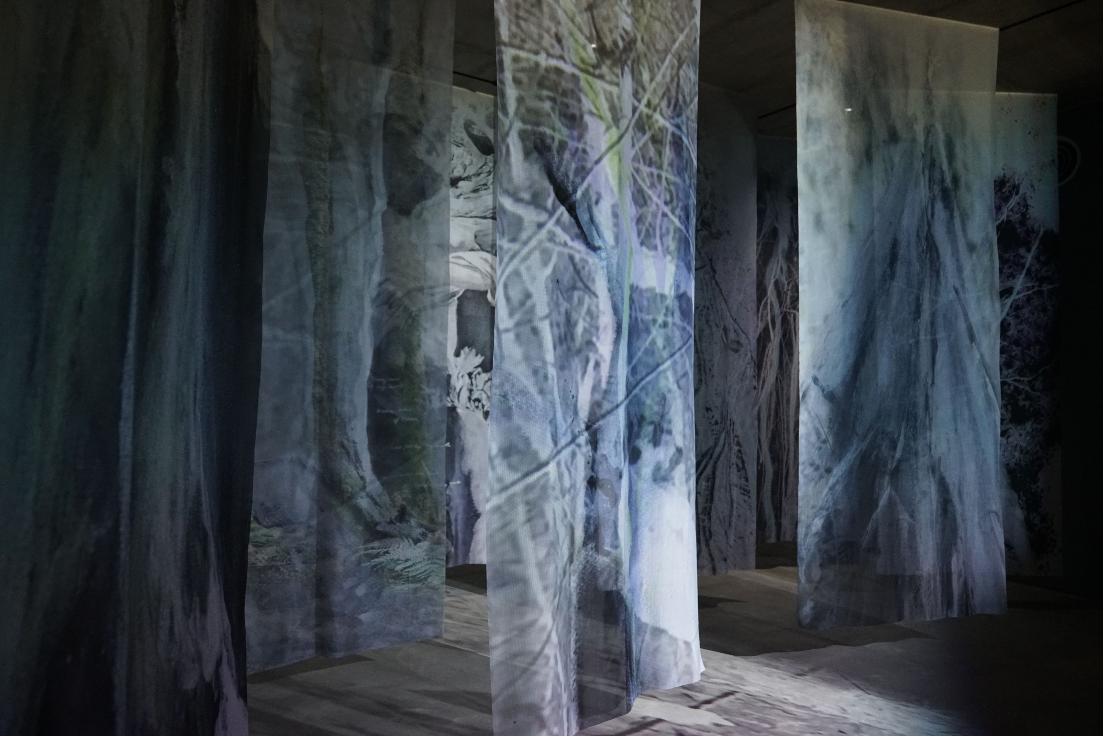 In the Breath of the Forest│Silk veil fabric curtain, video projection│360 x 145 cm 12 pieces│2020