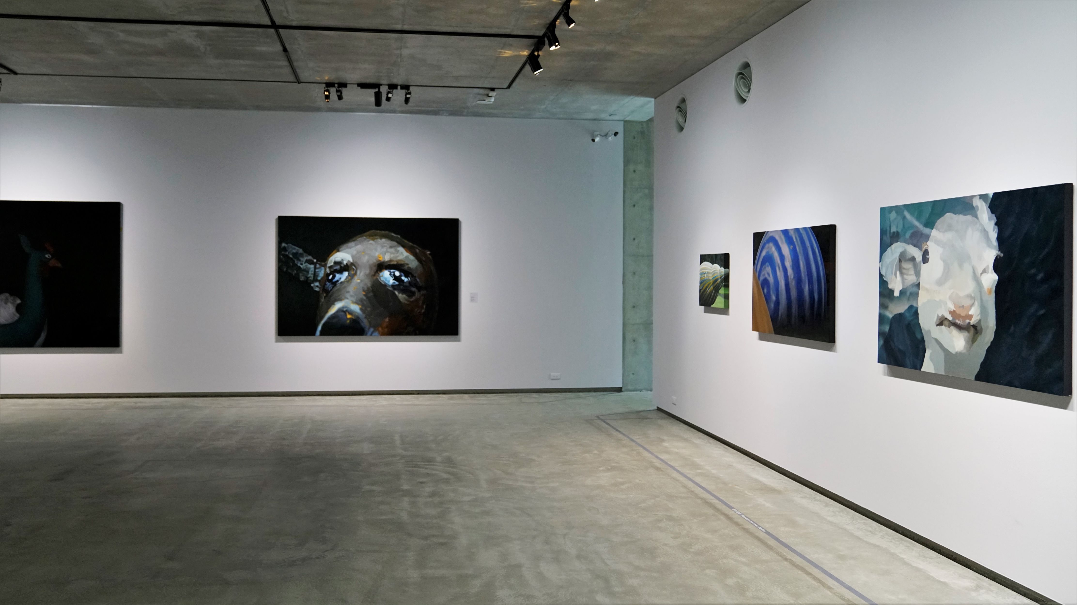 Installation view of 2nd floor gallery - Lin Yanwei