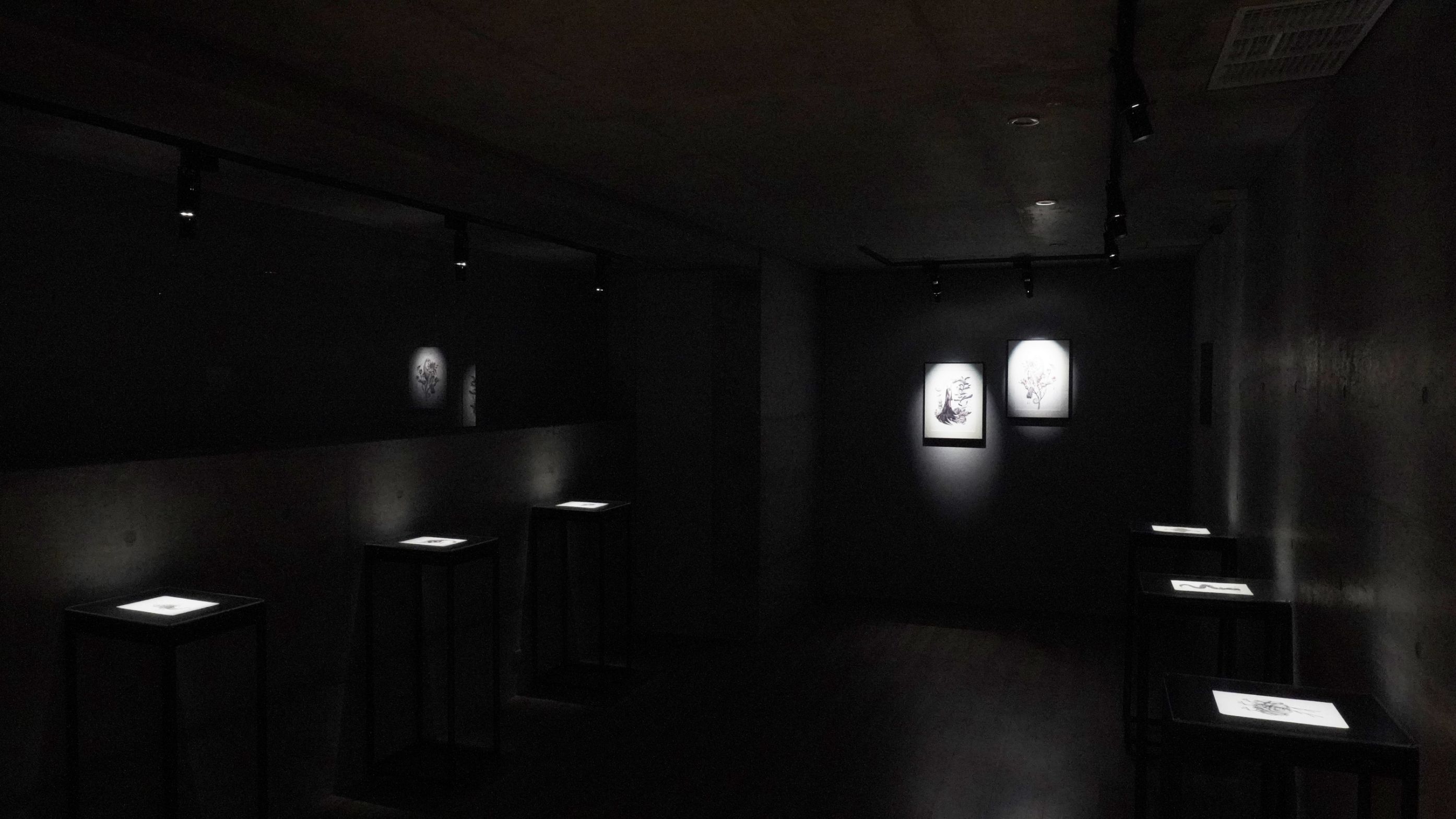 Installation view of 1st floor gallery - Wang Yu-Hsuan