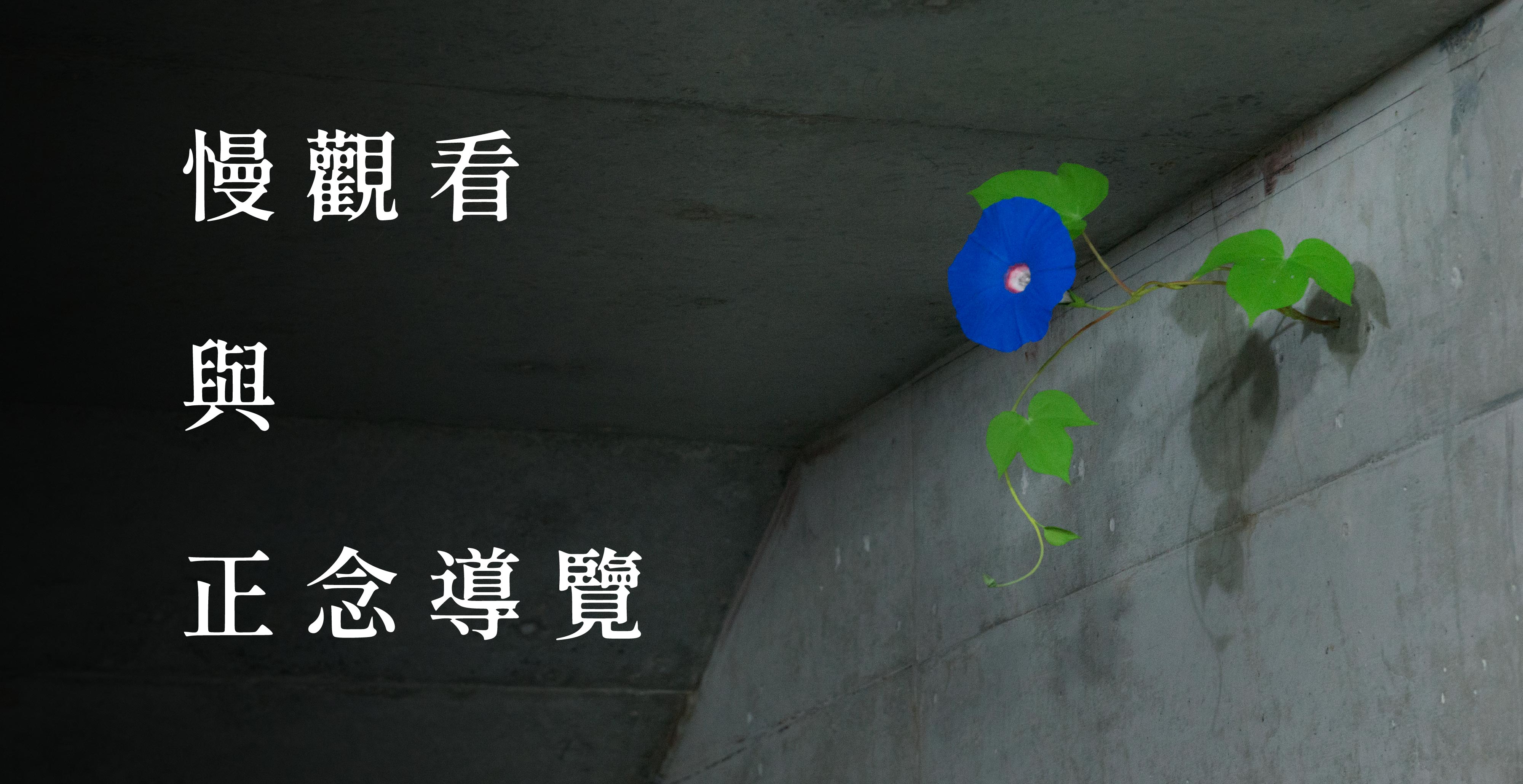 慢觀看與正念導覽