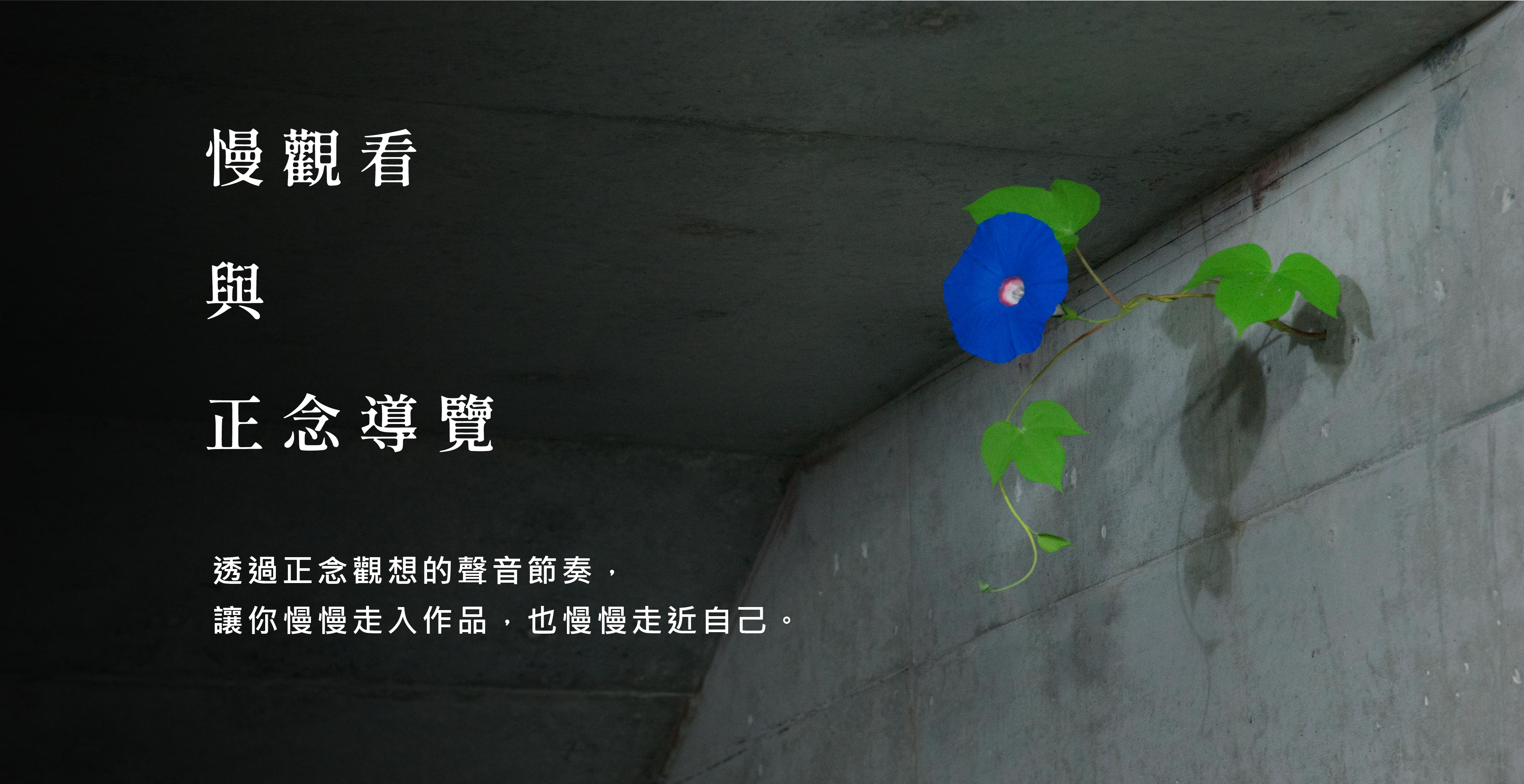 慢觀看與正念導覽