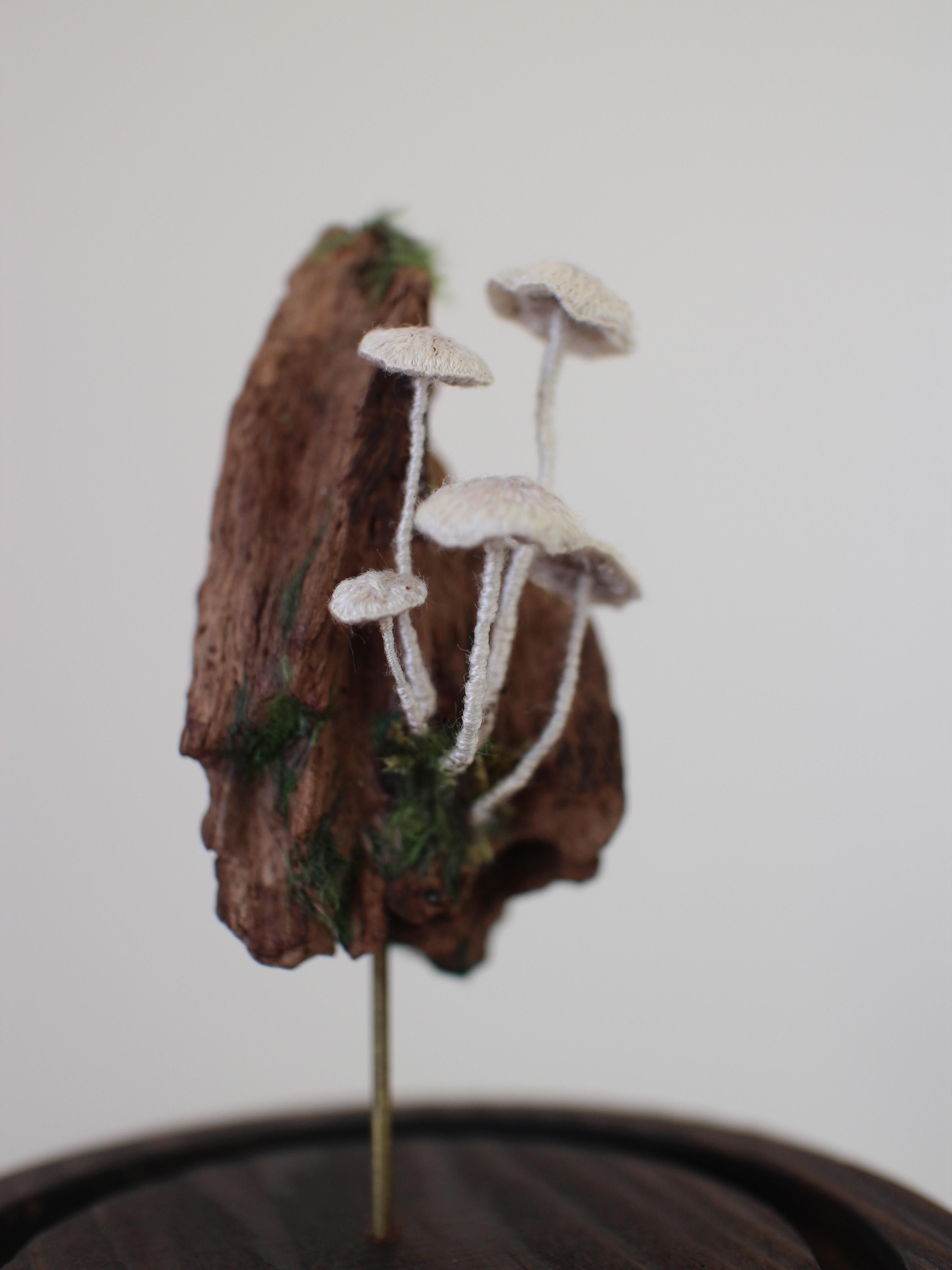 A Piece of Forest – A Mountain-shaped Wood Fragment & White Mushrooms│H13.5 (cm)│2021